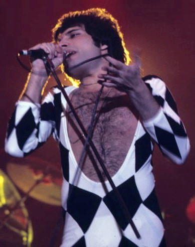 1977年、ニューヘイブン公演のフレディ・マーキュリー