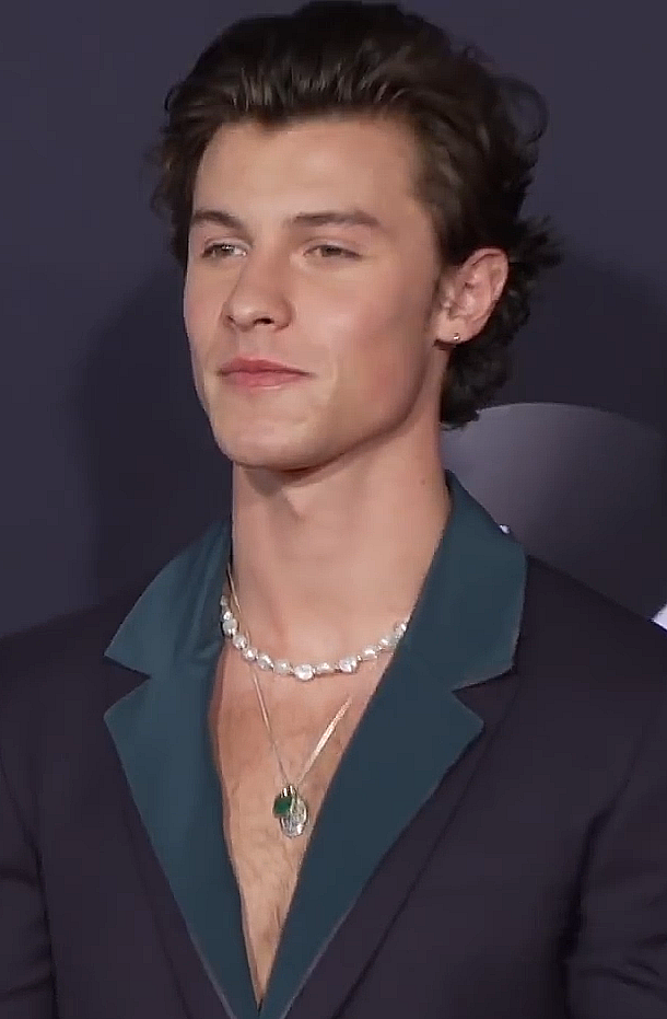 2019年のAmerican Music Awardsでのショーン・メンデス